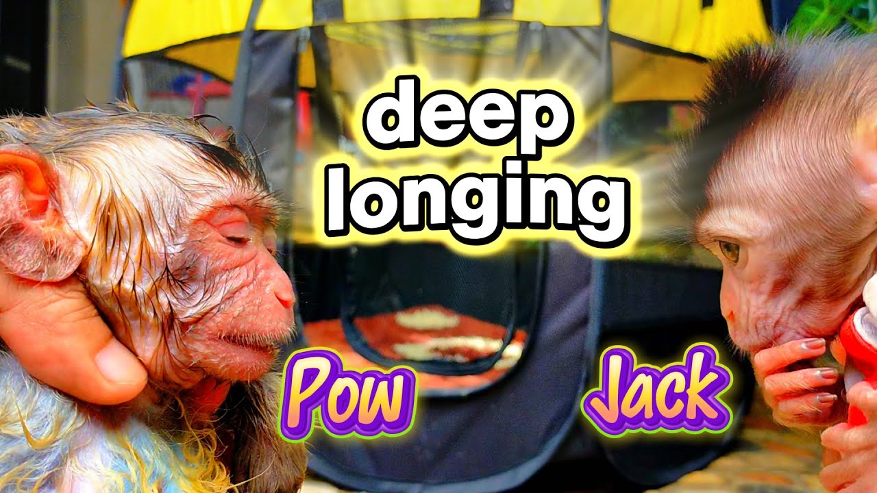 Deep Longing