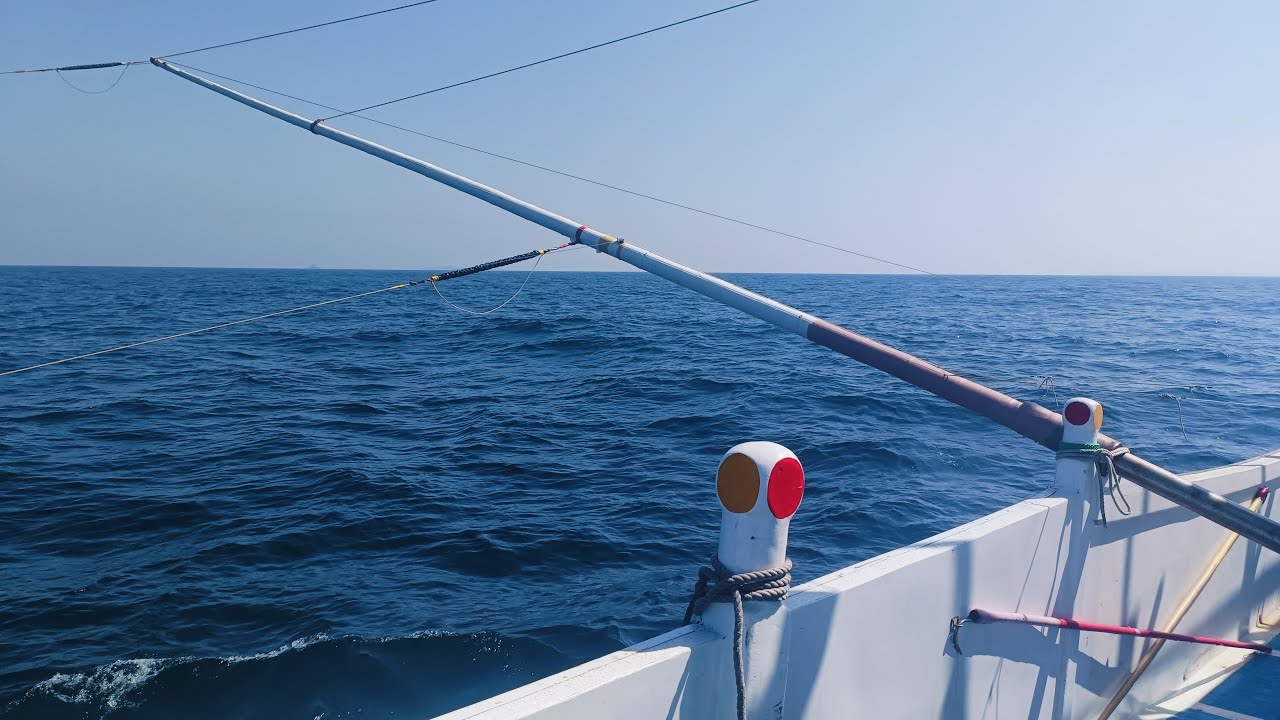 02-13-26 Taiwan fishing boat navigation 🧭 operation catch king mackerel using artificial bait #live