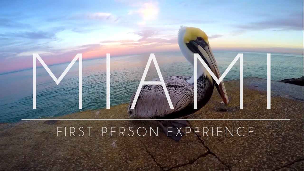 MIAMI | First Person Experience