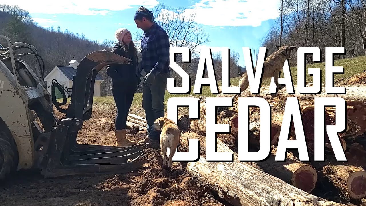 Junk cedar trees to usable lumber // E137