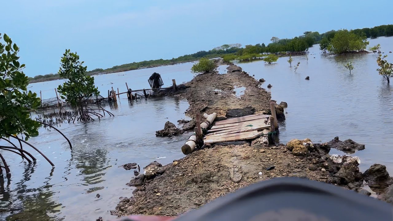 Trapped in a Mangrove Swamp, Fishing Spot Cancelled, So I Ended Up Fishing at the PLTU Beach