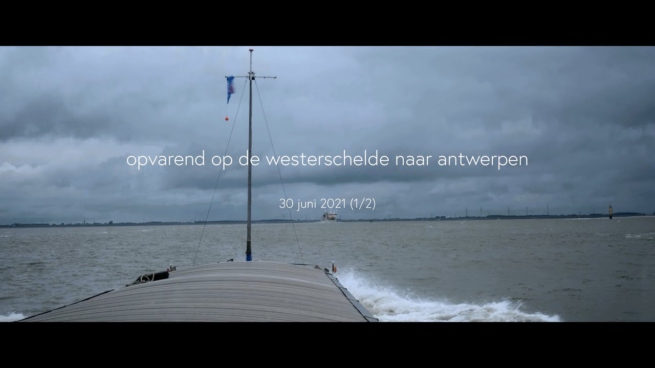 Woensdag 30 juni 2021 (1/2) - Het wordt steeds slechter zicht op de Westerschelde richting Antwerpen