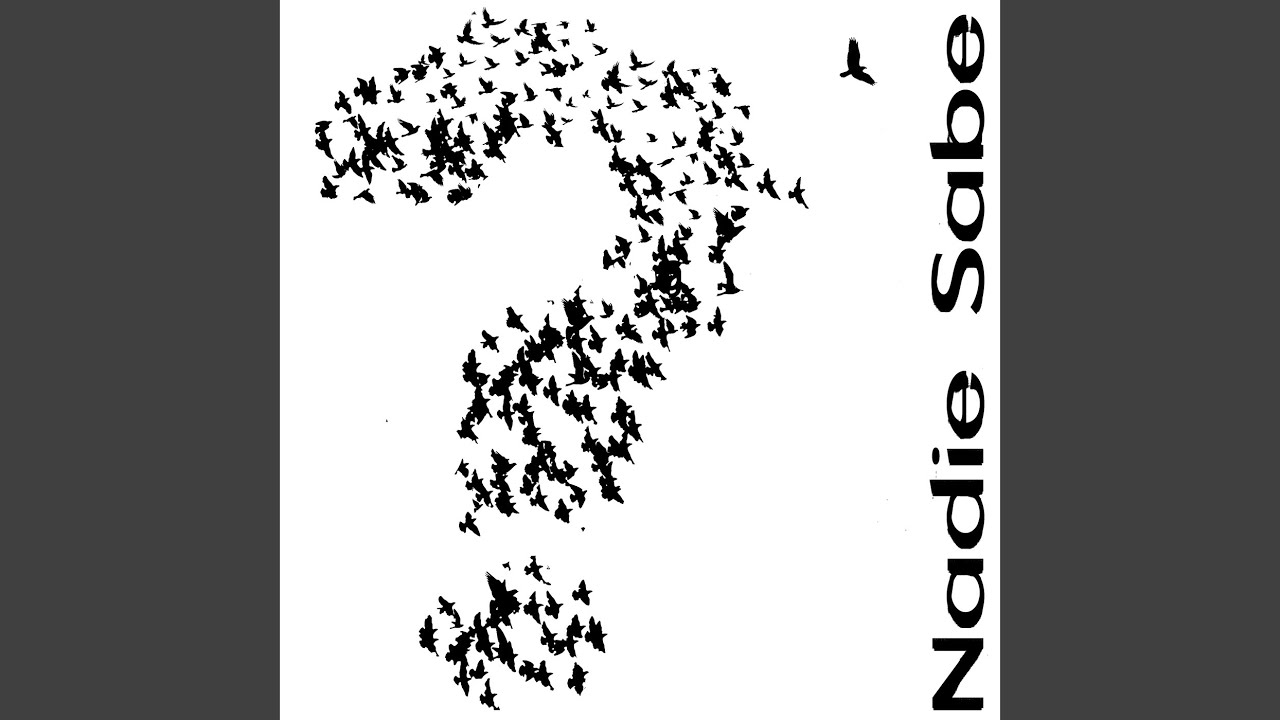 Nadie Sabe