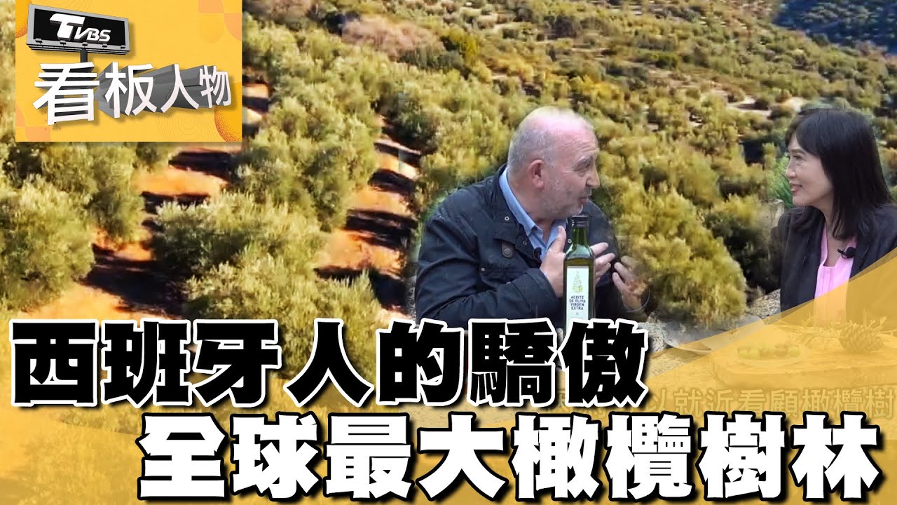 西班牙人的驕傲 全球最大橄欖樹林 看板人物 20230820 (2/3)