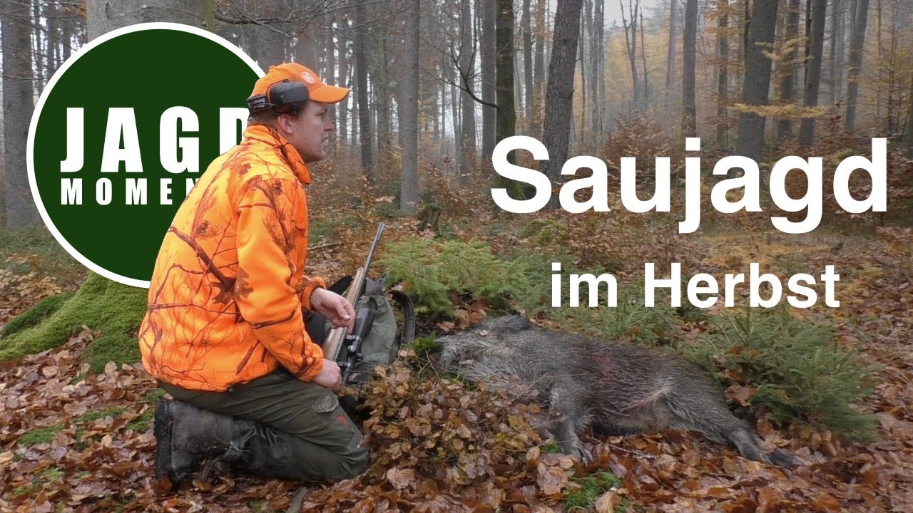 JagdMomente | Folge 5 | Dr&uuml;ckjagd & Ansitz auf Sau & Reh im Herbst