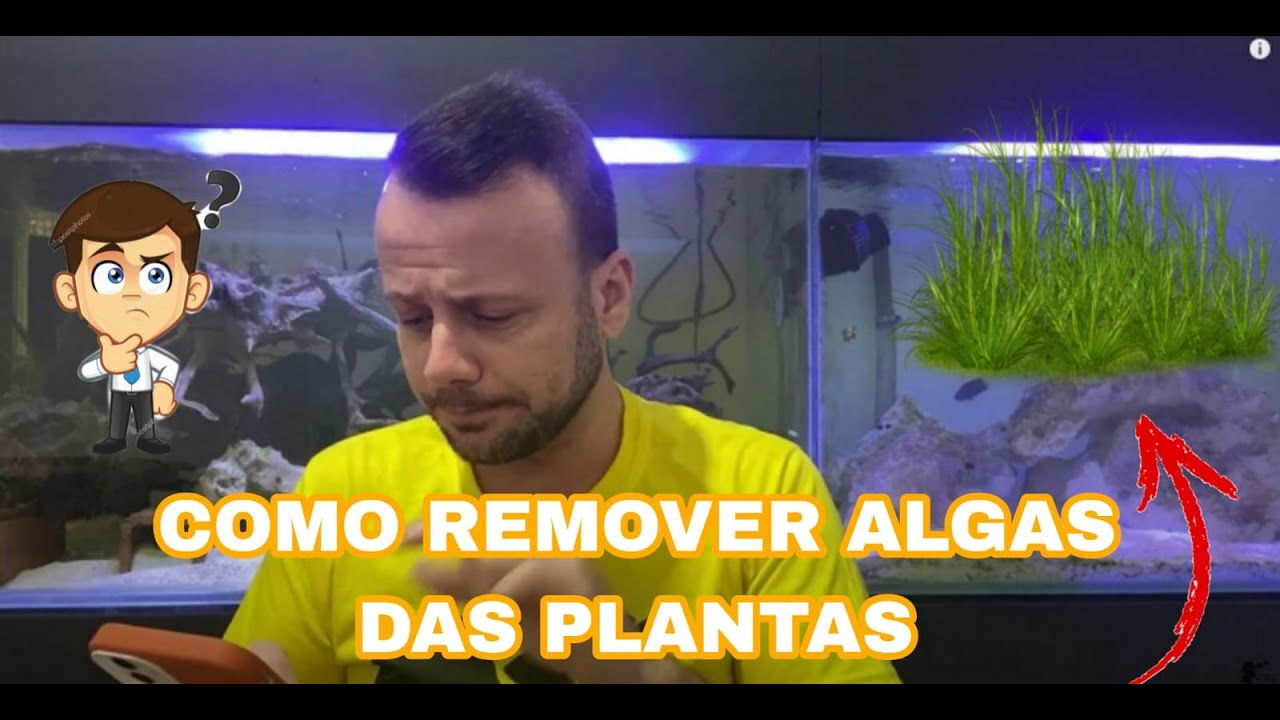 COMO REMOVER ALGA DAS PLANTAS!!!
