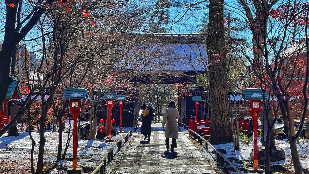 Live Snowy Tokyo Morning Walk to Jiyugaoka