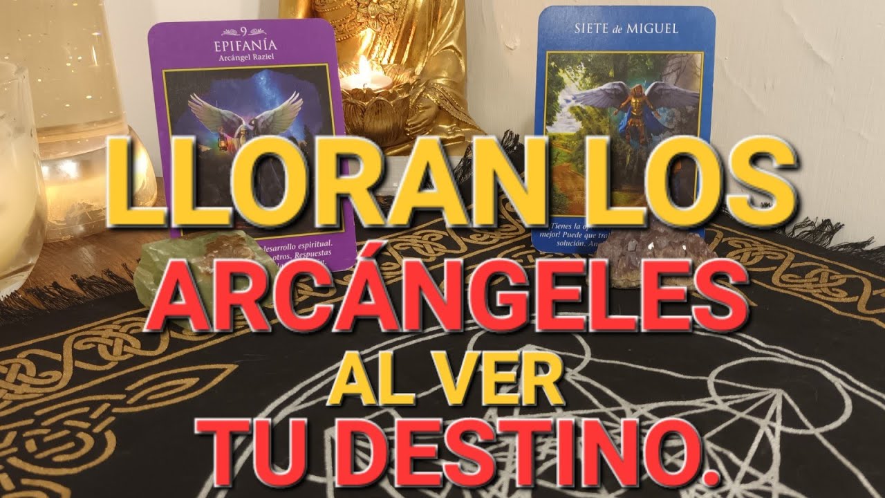 TE SUPLICAN LOS ARCÁNGELES ESCUCHES SU MENSAJE ✨️ 💫 #tarot 