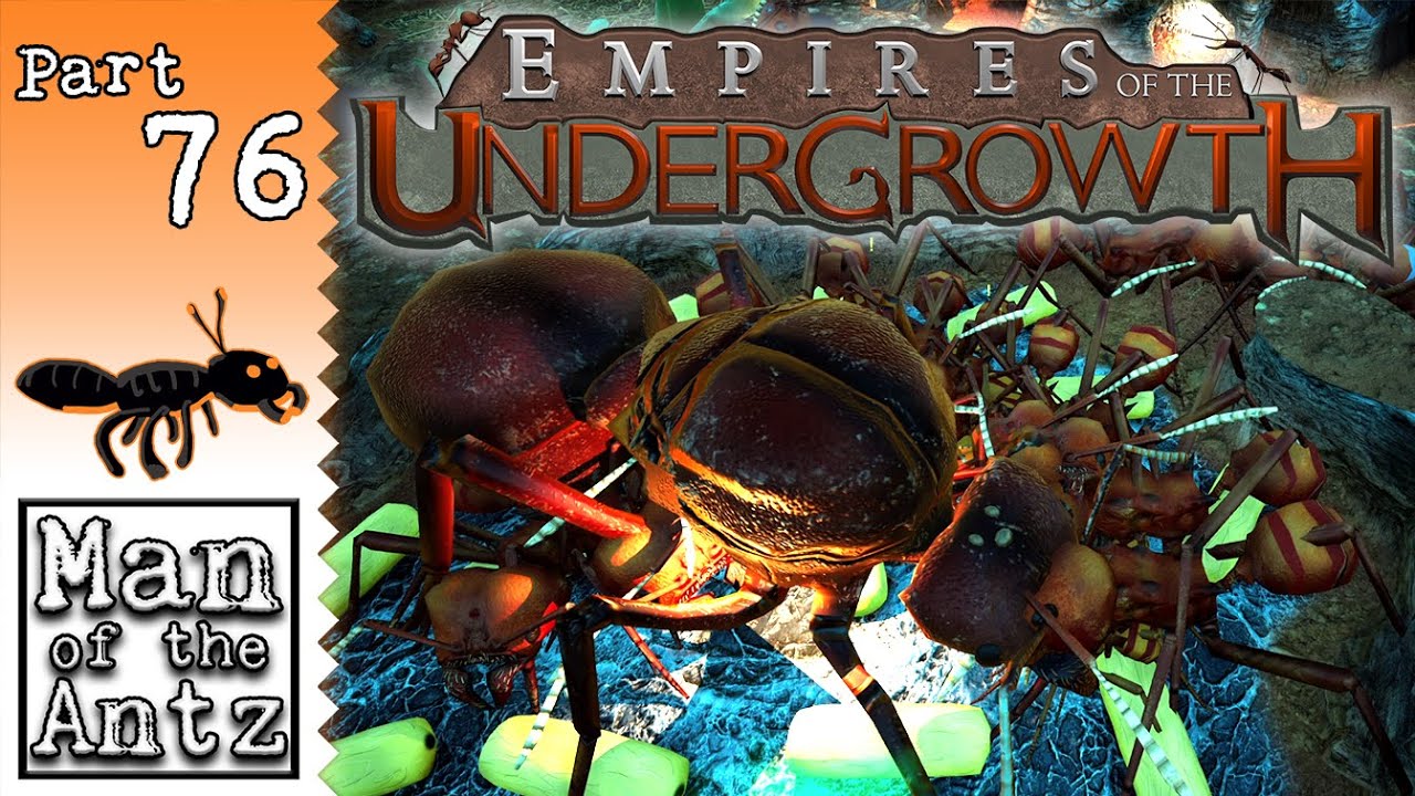 Killing The Enemy Queen On The Harvest | Empires of the Undergrowth - Part 76