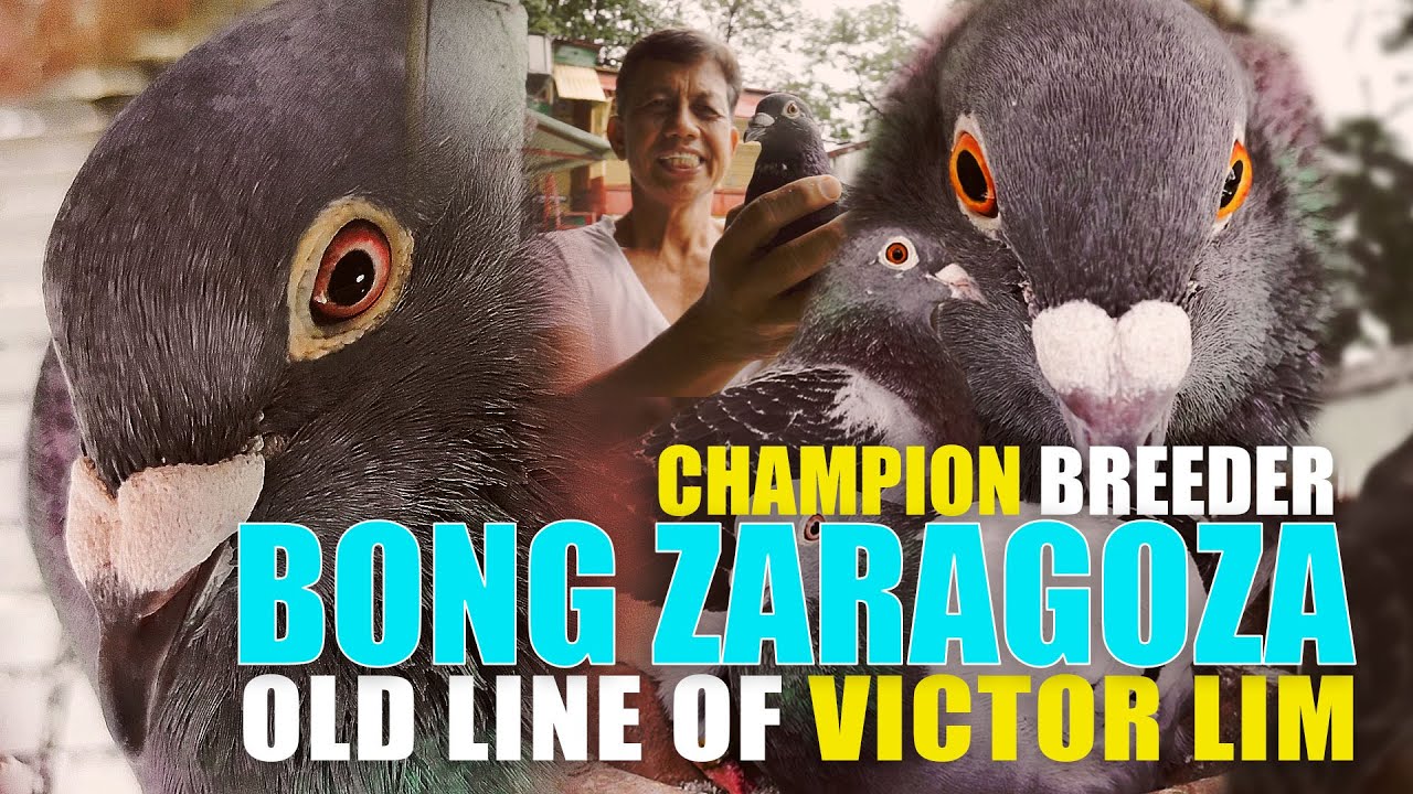 OLD LINE OF VICTOR LIM'S PRESERVED LINES BY BONG ZARAGOZA