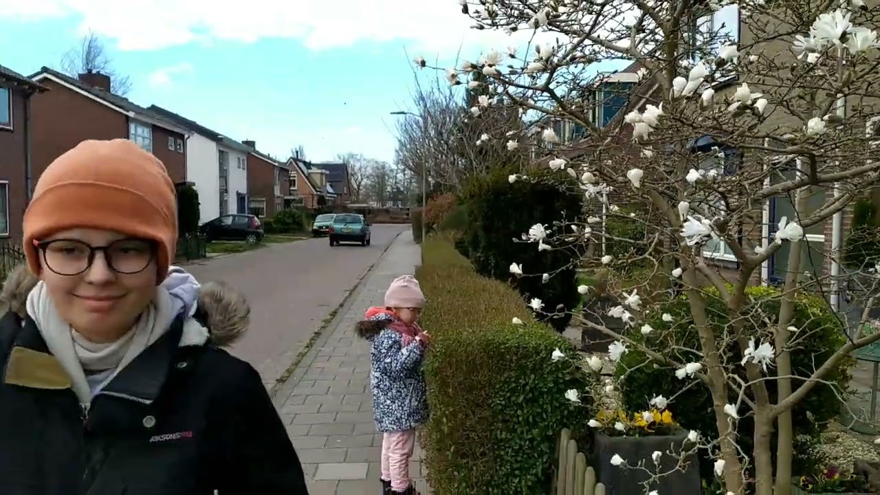 Городок в Нидерландах на границе с Германией / Zevenaar/ Netherlands/ Germany