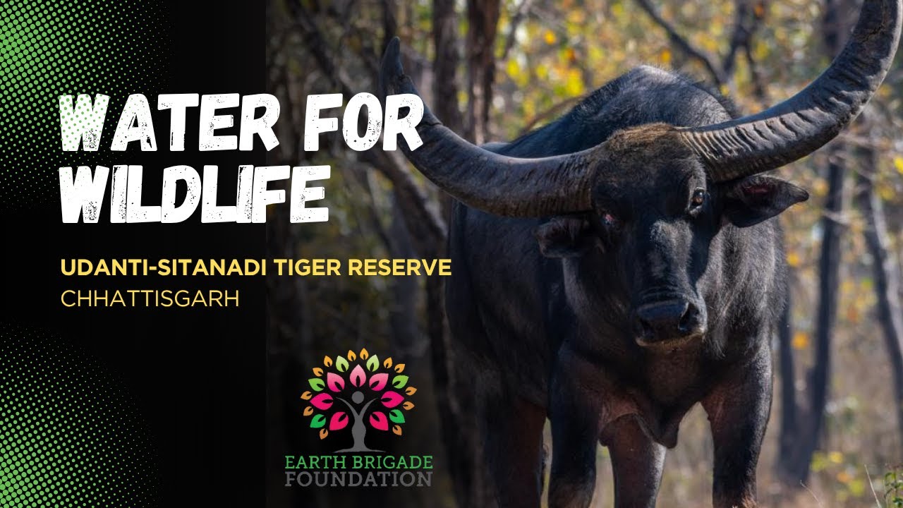 Solar Pump Installations in Udanti-Sitanadi Tiger Reserve | Water For Wildlife 2025
