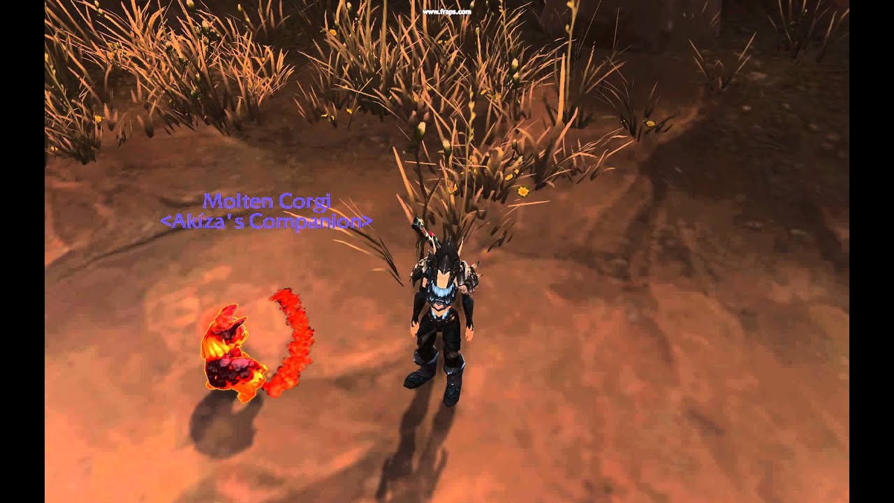Molten Corgi buttdrag