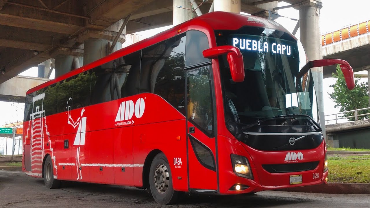 Autobuses en la TAPO