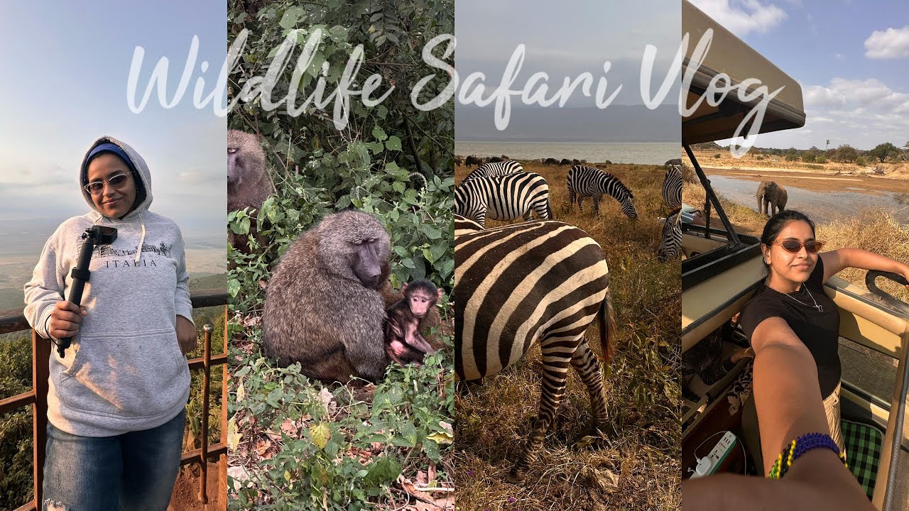 Ngorongoro & Tarangire Wildlife Safari Vlog