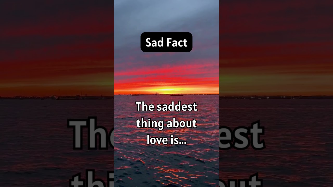 Navigating Love's Waters: Honest Relationship Discourse