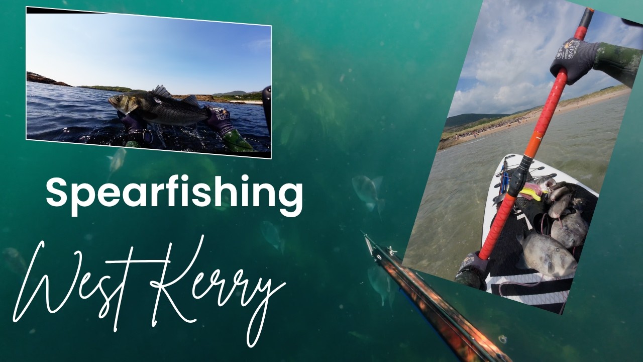 SUP Spearfishing Ireland: Hunting Triggerfish & Seabass in West Kerry