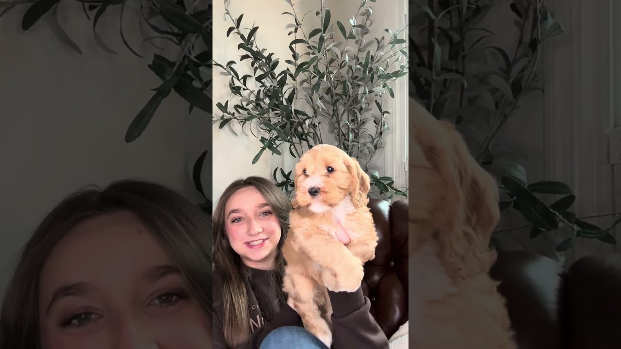 🐶 Jazzy & Landry’s Bears Legends – 7 Week Pupdate 🐶