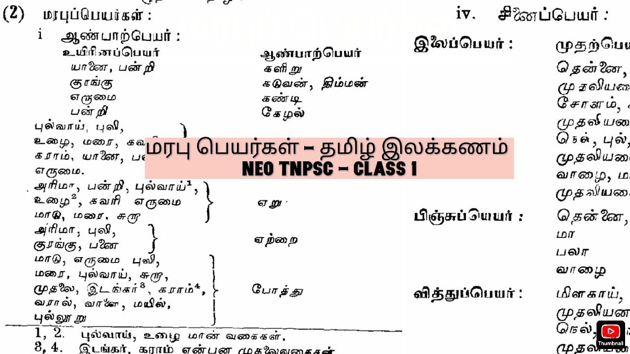 மரபுப் பெயர்கள் out source Cls-1 தமிழ் இலக்கணம் 2026 -Neo Tnpsc #tnpsc #group4  #group2 #tamil #2026