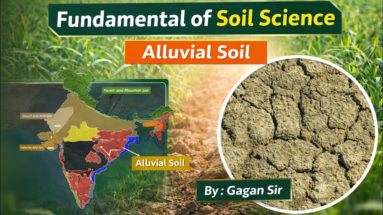 Alluvial Soil Full Deecription In Hindi l Fundamental Of Soil Science #soil #icar #agriculture 