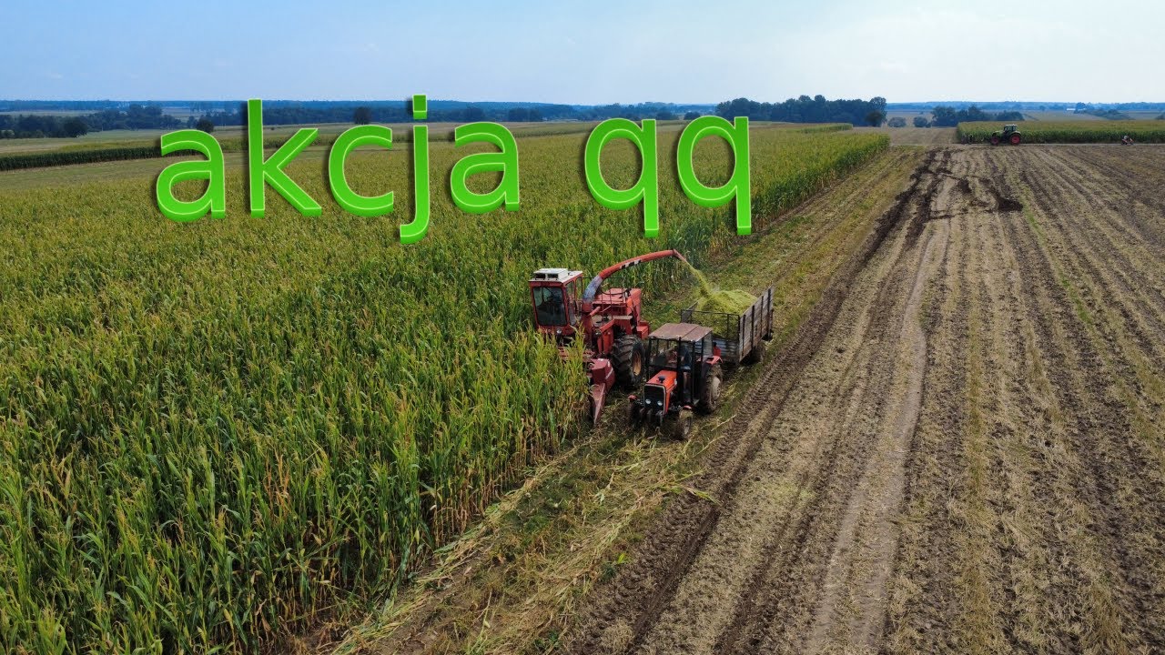 oporowe cięcie qq na kiszonkę 2025