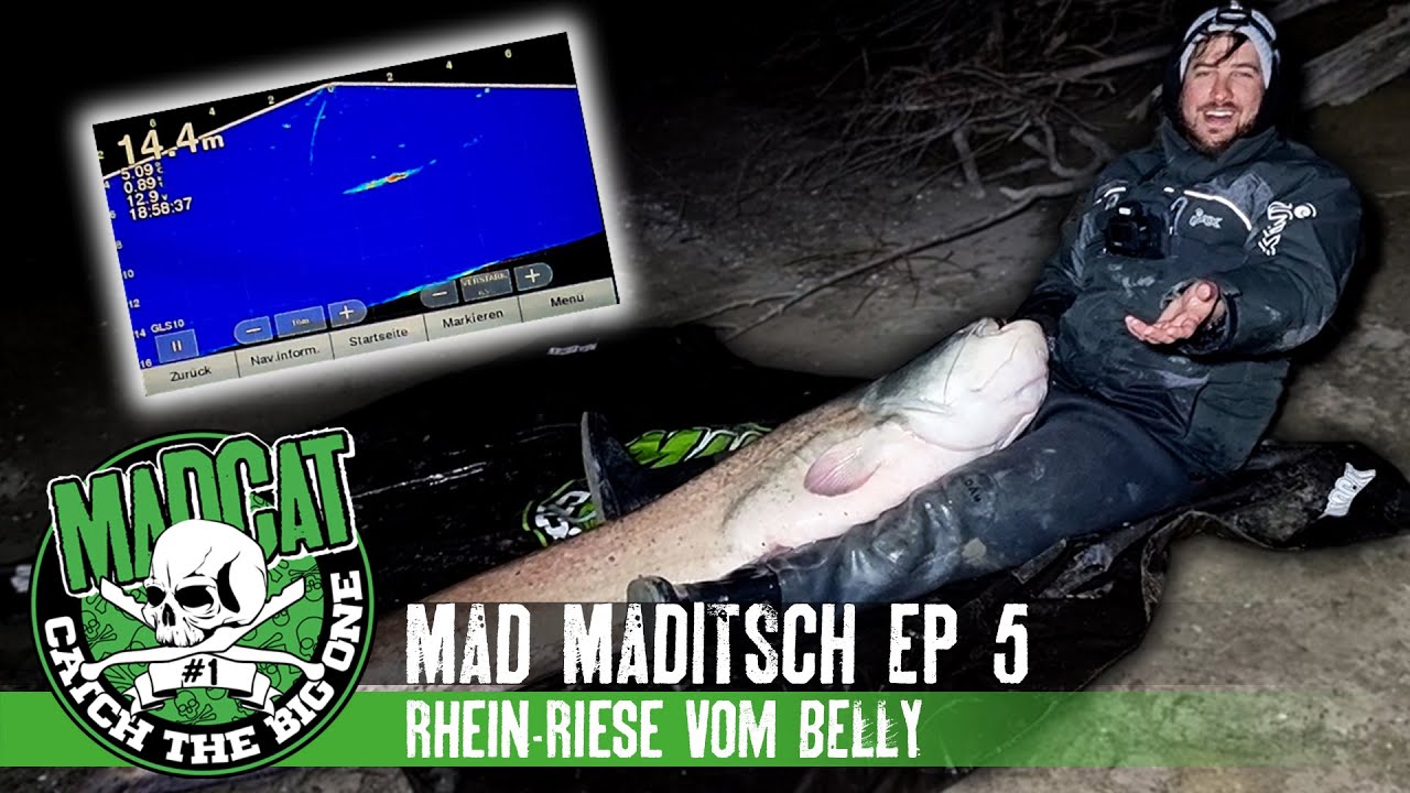 MAD MADITSCH #5 fängt RHEIN-RIESE vom Belly Boat 😱🔥 Neuer Personal Best I Welsangeln I MADCAT