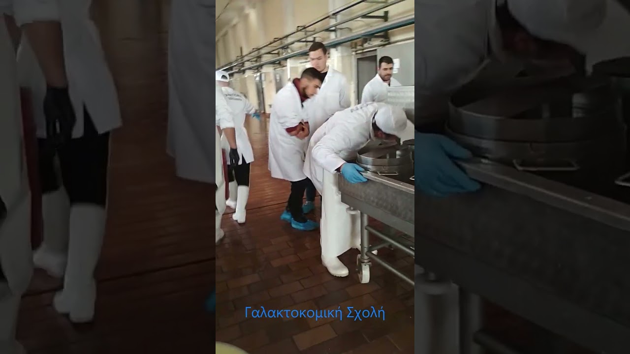 Μαθαίνουμε δουλεύοντας για το παραδοσιακό Κεφαλοτύρι Γ'