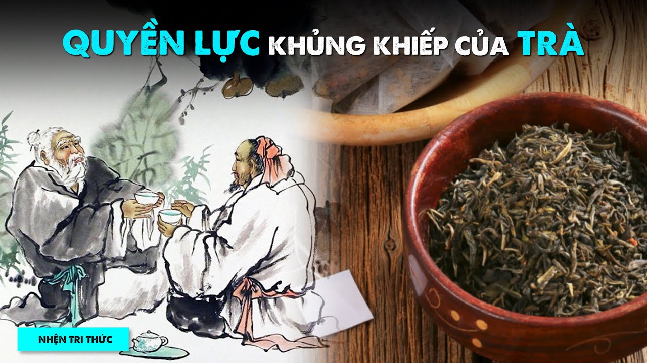 Tại sao TRÀ là thứ ĐỒ UỐNG QUYỀN LỰC NHẤT thế giới? | Tedisious | THẾ GIỚI