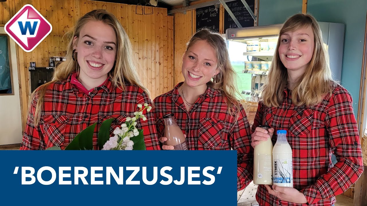 Suze (20), Ivy (18) en FIen (16) runnen boerderijwinkel: 'Mannen hebben bijrol' - OMROEP WEST