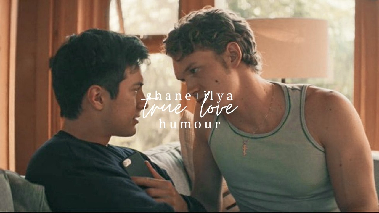 shane + ilya || true love [humour]