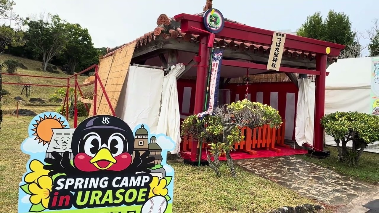 【2025 プロ野球キャンプ】初日朝! 東京ヤクルトスワローズ 沖縄浦添キャンプ初日朝は…雨！（現地散歩動画）ANA BALL PARK浦添を歩く #ヤクルトスワローズ #春季キャンプ