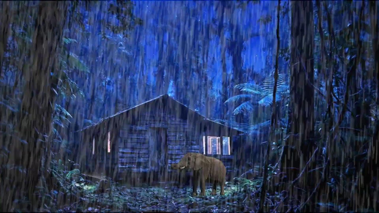 🏡 Rain on Wooden Cabin Roof | Sleep Sounds for Peaceful Night