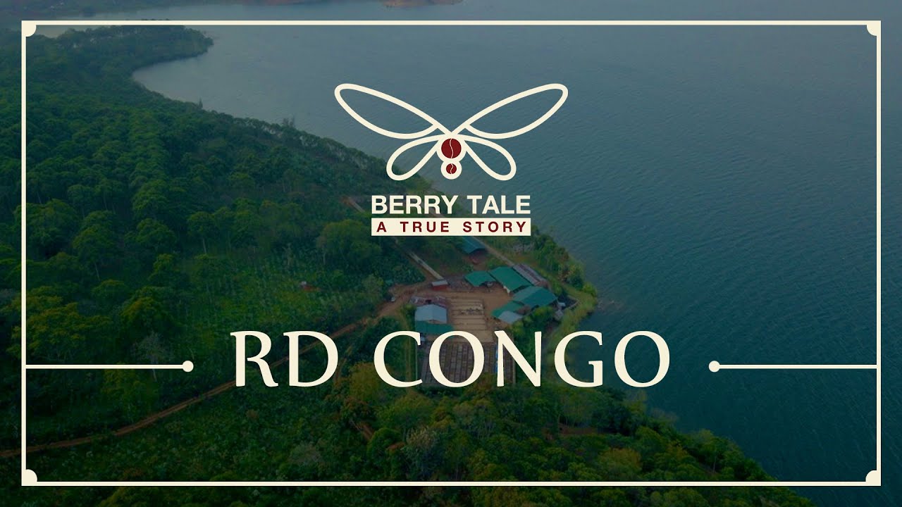 |Berrytale| - RD Congo