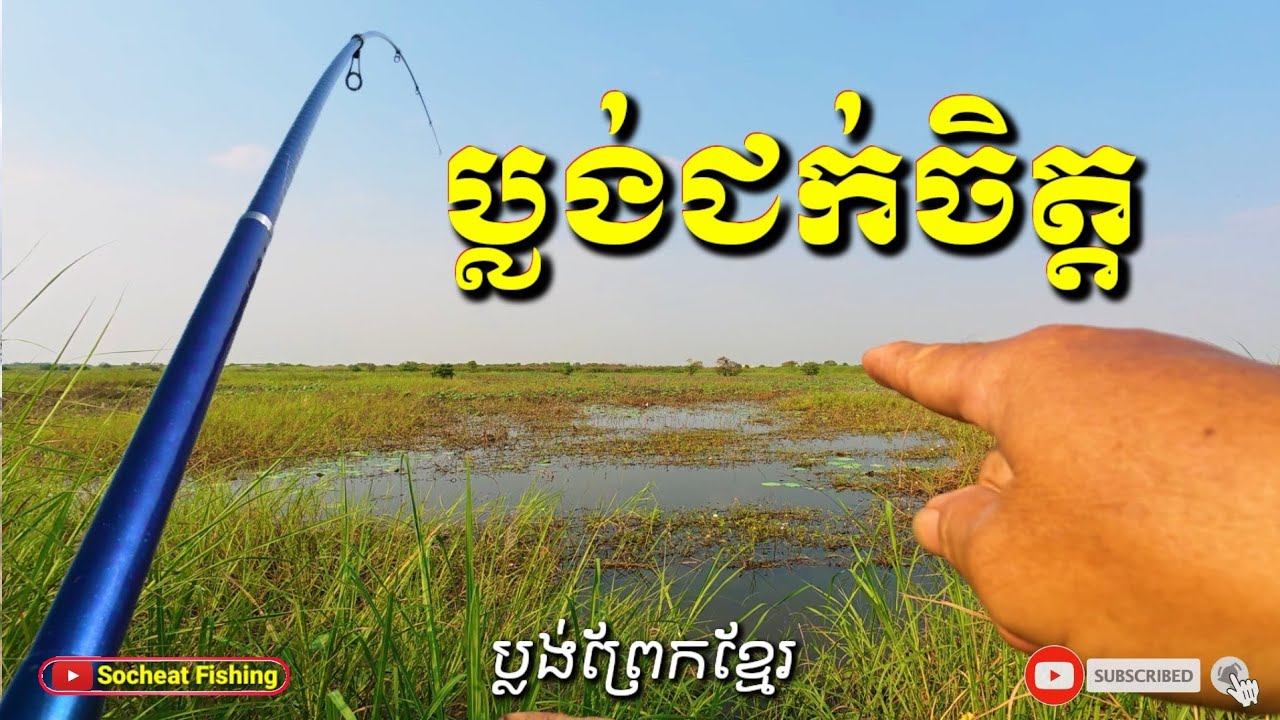 ប្លង់ជក់ចិត្តជើងទី 3 / Amazing snakehead fishing #fishingdaily #fishing #amazingfishing #fishingtips