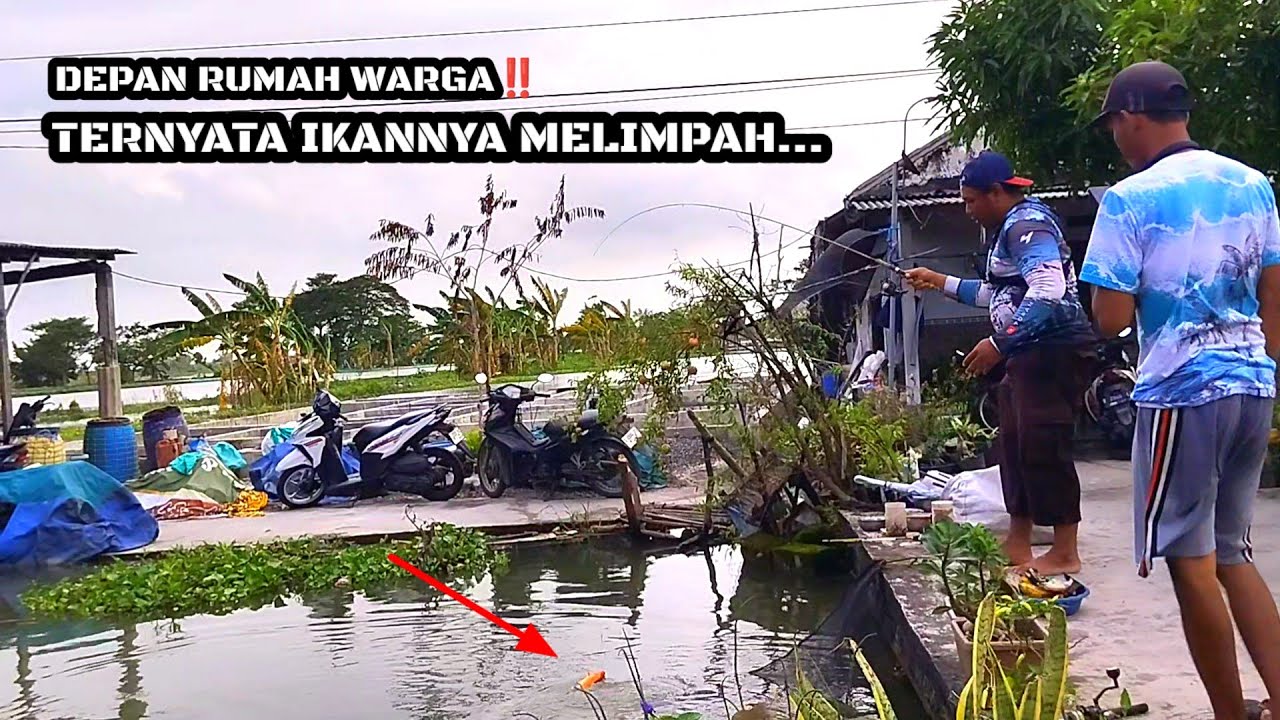 WARGA TIDAK SUKA MANCING‼️PADAHAL DEPAN RUMAHNYA IKAN MELIMPAH #mancing #mamcingliar