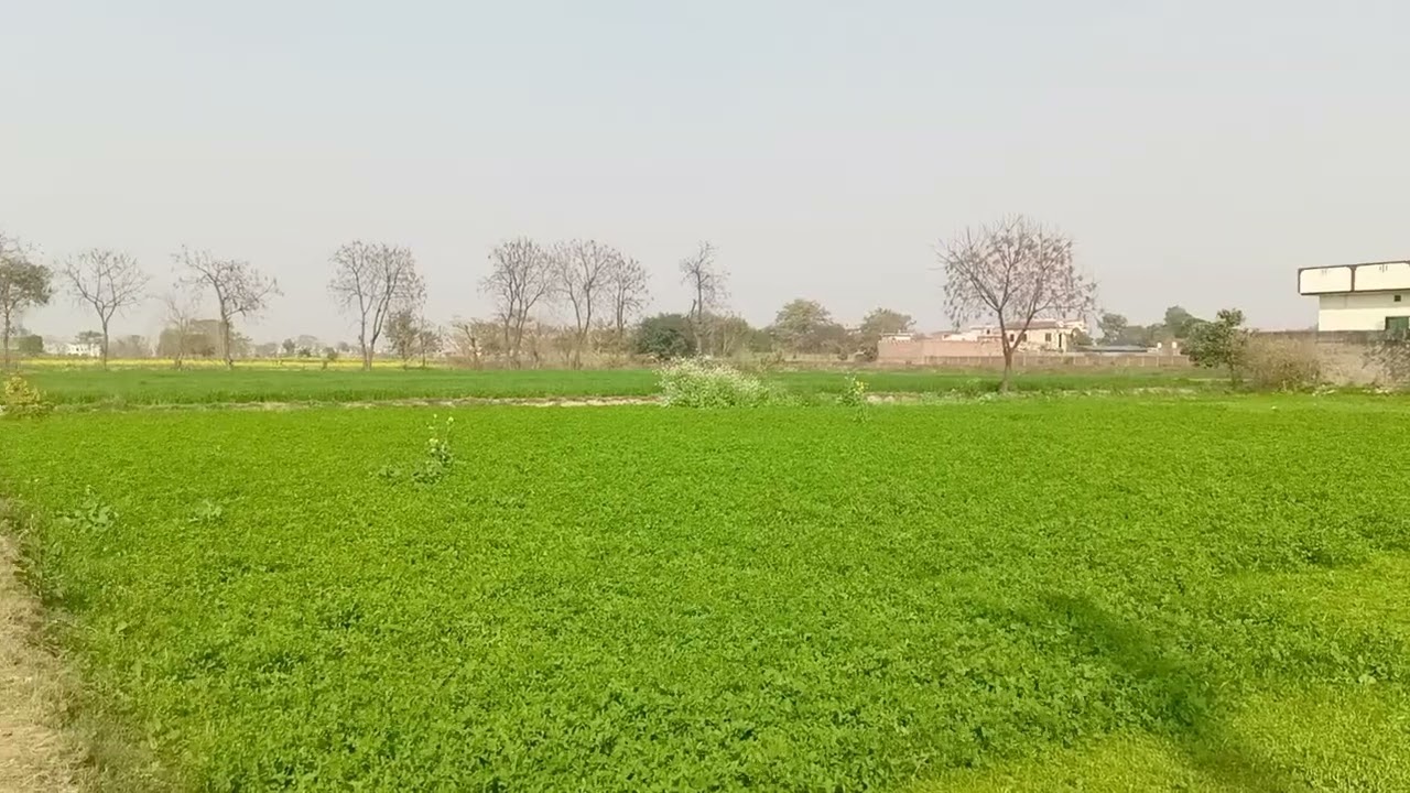 450 Kanal society Lands For Sale Near too Adda plot Lahore 125 lac.par Kanal 0300-4441446