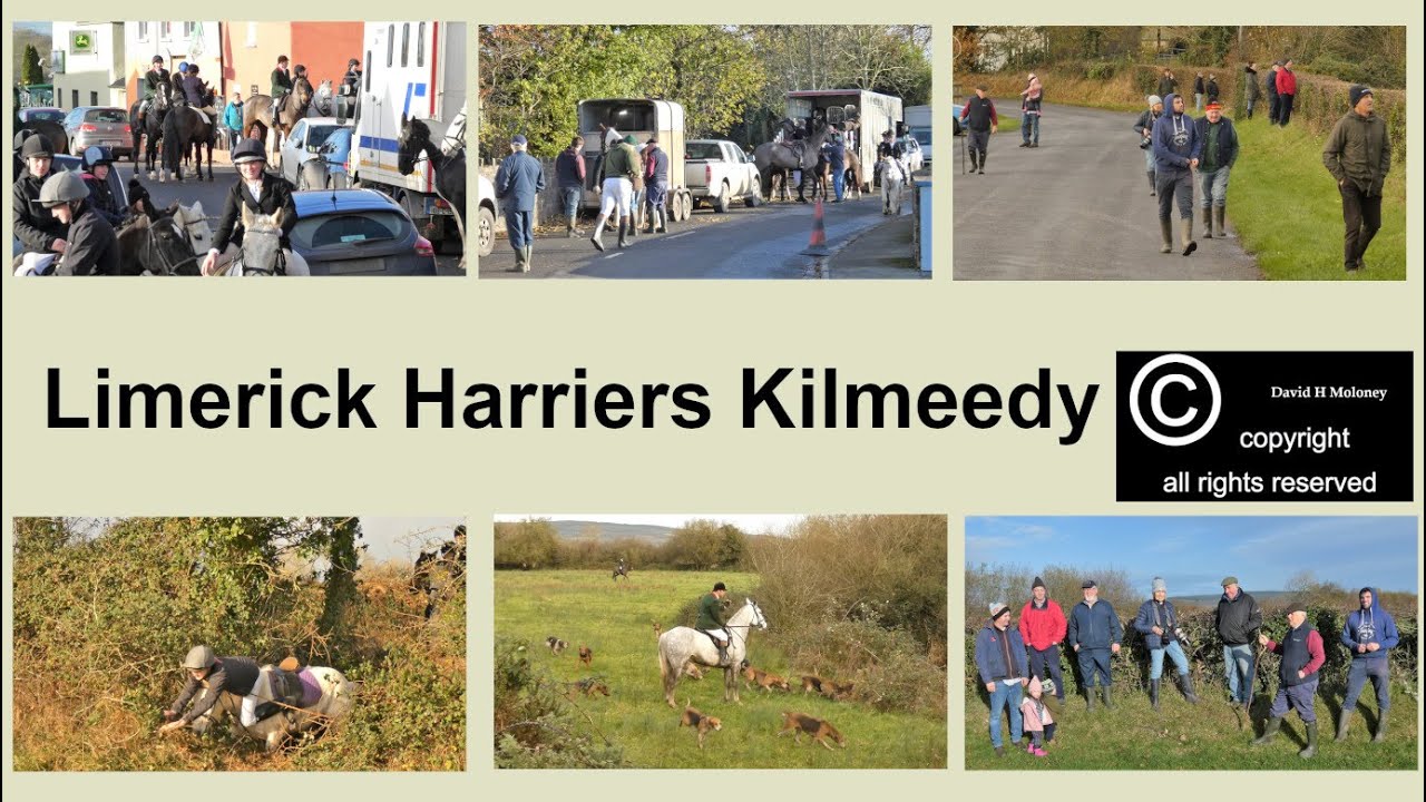 Limerick Harriers Meet at Kilmeedy