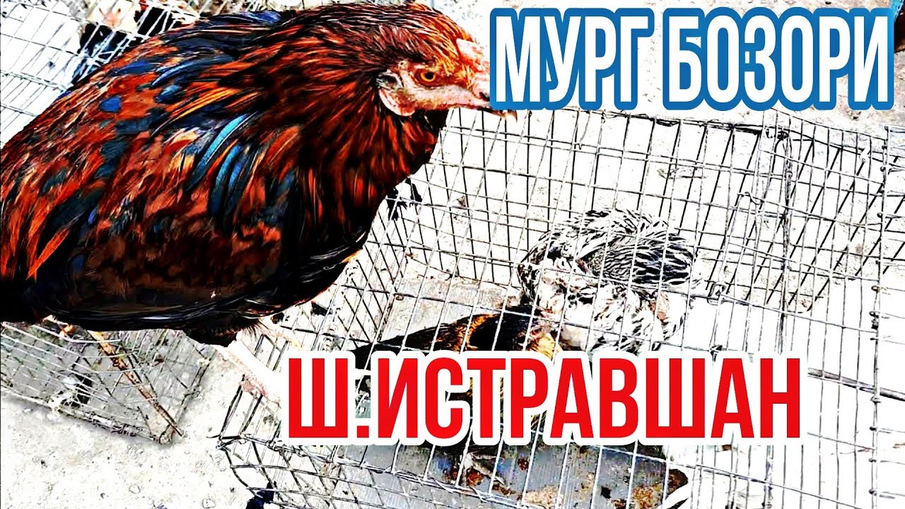 Бозори мург