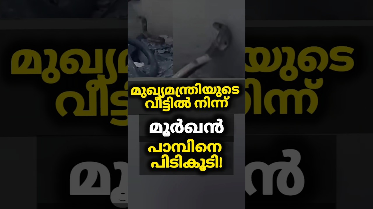 മുഖ്യമന്ത്രിയുടെ വീട്ടിൽ മൂർഖൻ പാമ്പ്! 🐍| Cobra Found in CM's House #shorts #malayalamnews