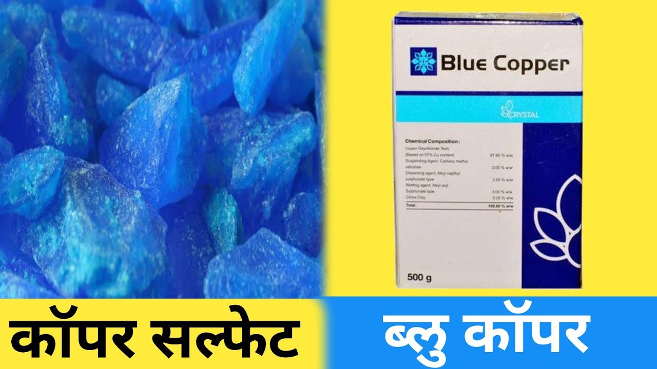 कॅापर सल्फेट इस्तेमाल करू या कॅापर ॲाक्झीक्लोराईड