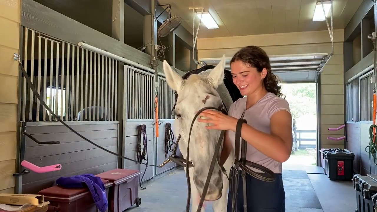 Horsemanship Part 2