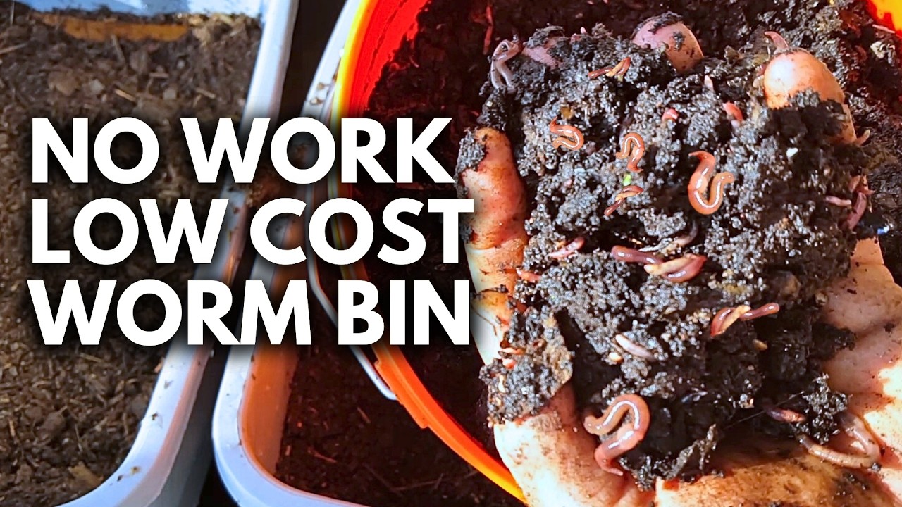 Effortless Worm Composting: A System You Only Touch Every 3 Months!