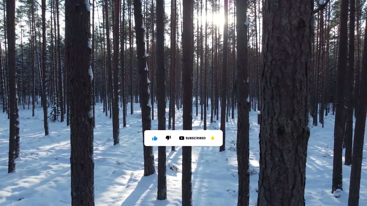 Relaxing background music  Beautiful aerial nature view winter spring time