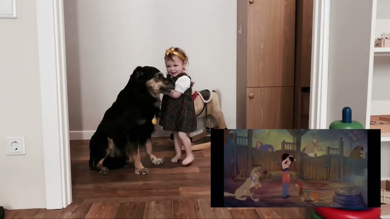 Визитка команды Happy Puppy (Green Time) 2022 / Понеслось 2022