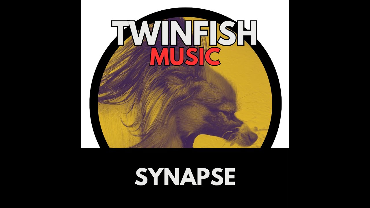TwinFish - Synapse | Melodic Fast Drum and Bass