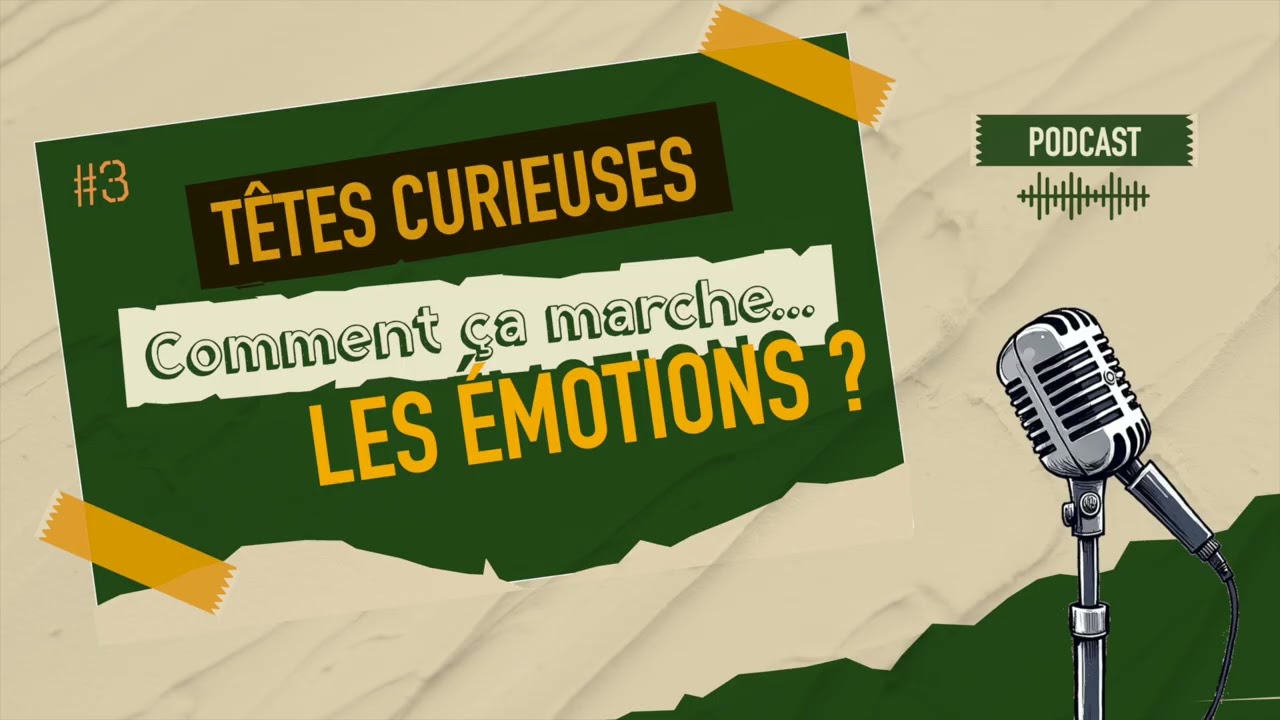 Comment ça marche les émotions ?｜Têtes Curieuses
