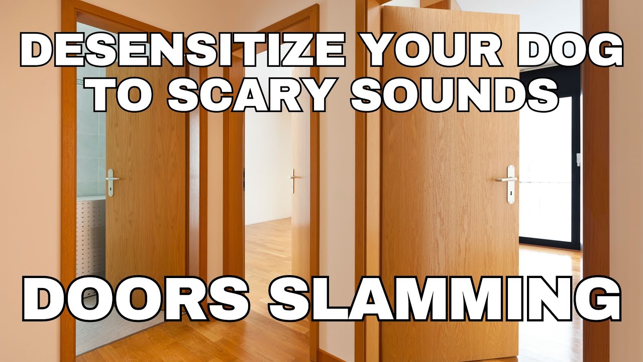 Dog Desensitization Sounds for Dogs & Puppies: Doors Slamming