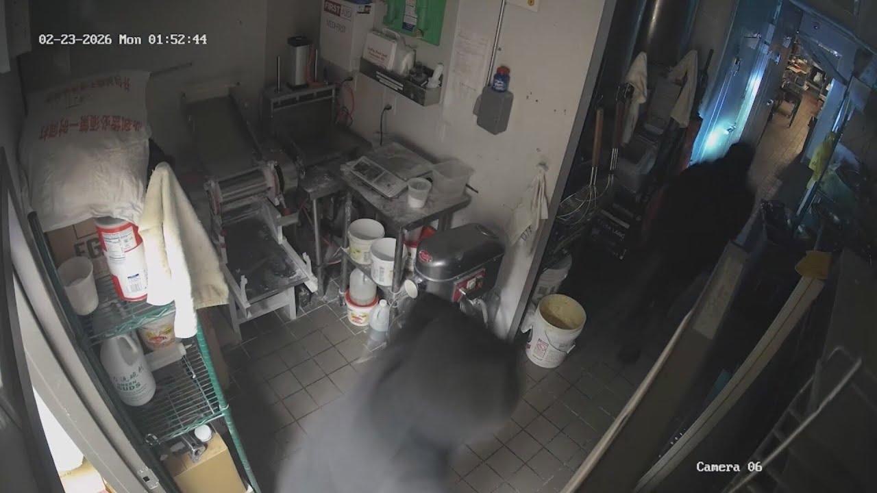 Seven Berkeley businesses burglarized in one night