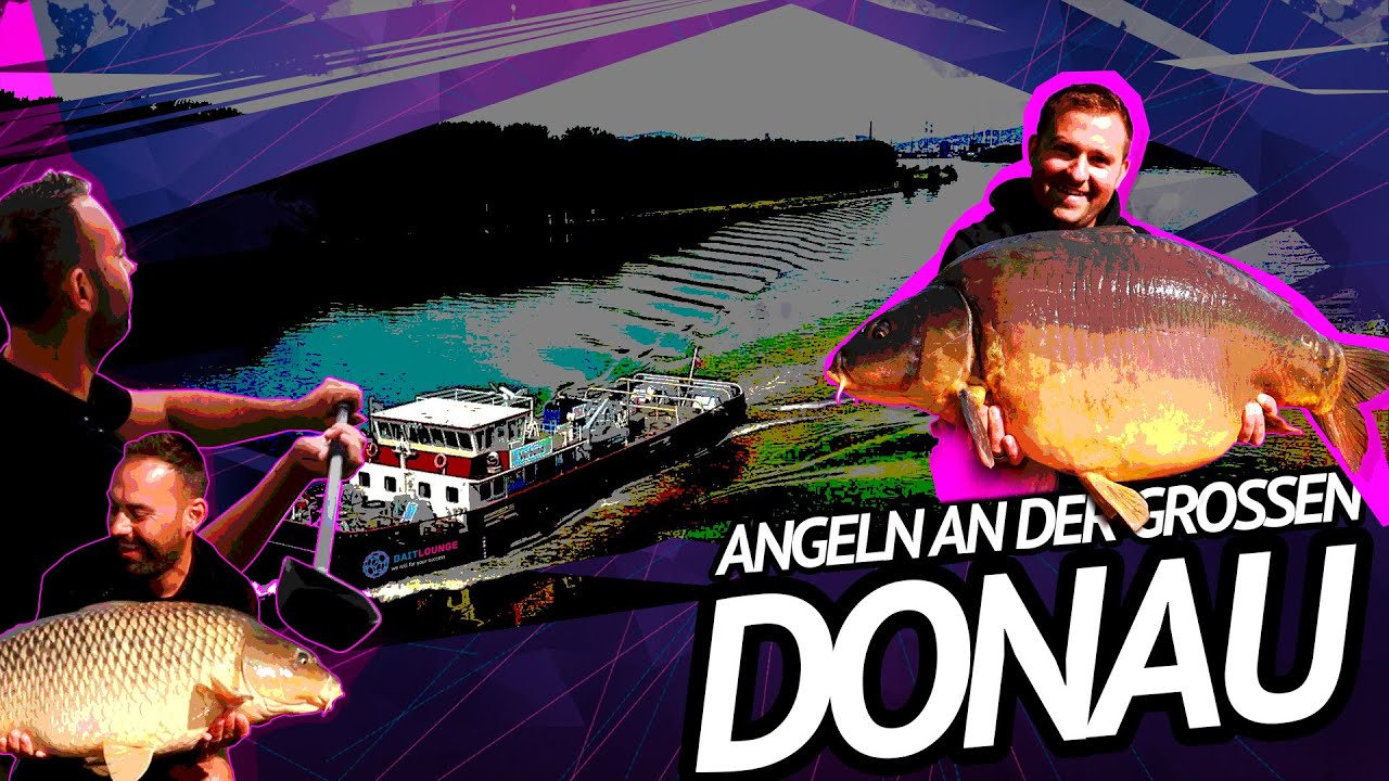 Angeln an der großen Donau by Dominik Hengstschläger und Marco Bettin
