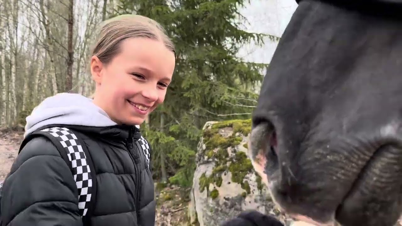 Meille tuli uus hevonen ❤️ Cassini-G ❤️ Kalle